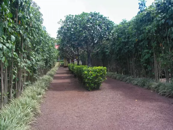 The entrance to the maze.