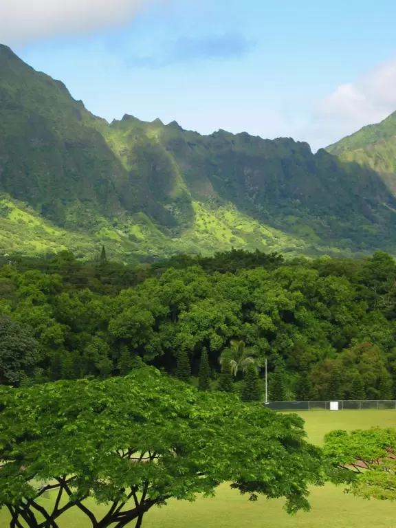 Sports fields, under the exquisite mountains. Green, green, everywhere!