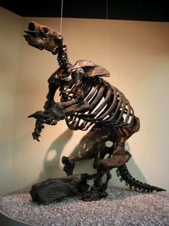 Giant ground sloth.