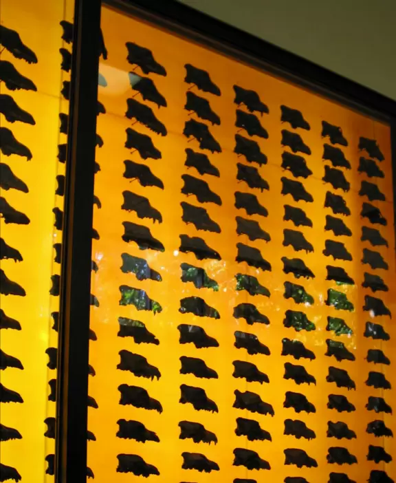 Wall of dire wolf skulls!
