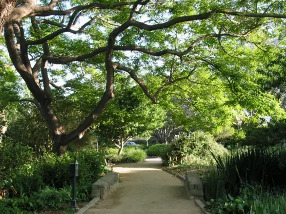 A gorgeous path to walk along with your lover.