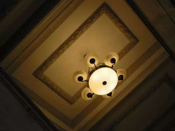Fancy ceilings.
