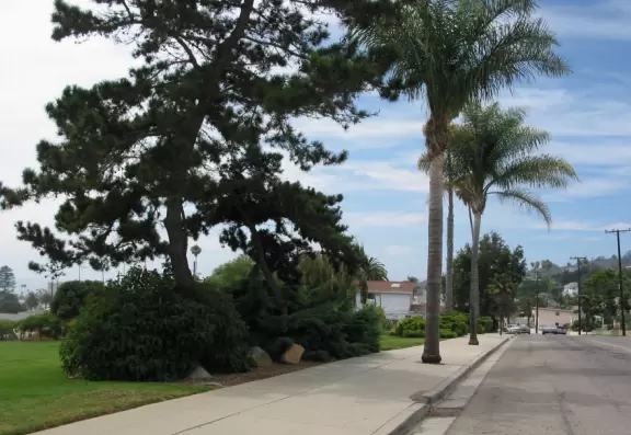 Poli Street, a great walk!
