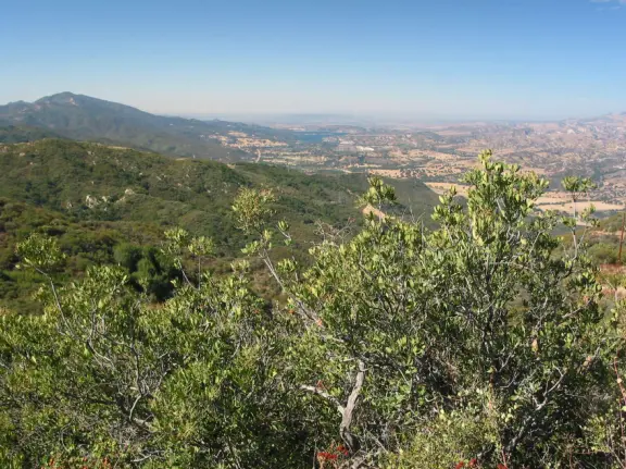 Forest, hills, mountains, and lake. 
