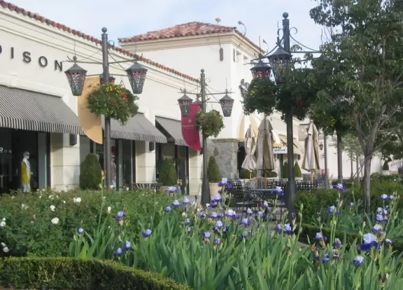 Irises, tables with umbrellas, and pretty lamps. 