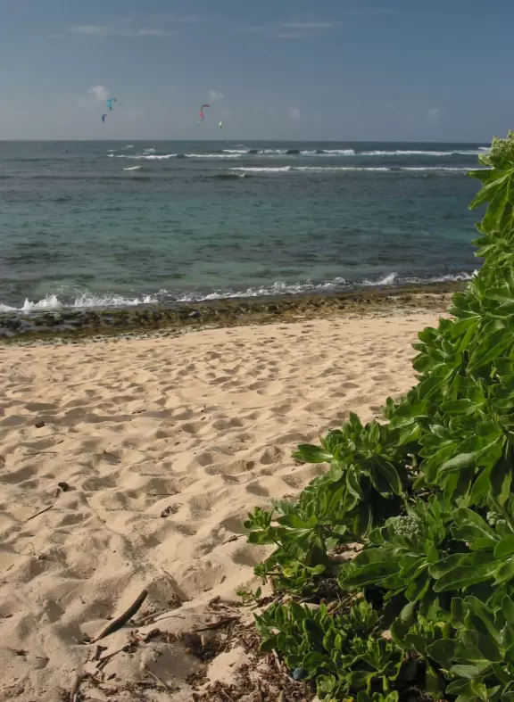 The nice sand at Mokuleia Beach.