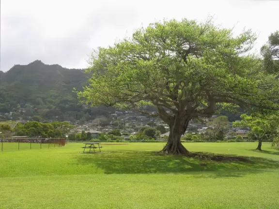 I've always wanted to lay on this little sloped hill on this softest grass! 