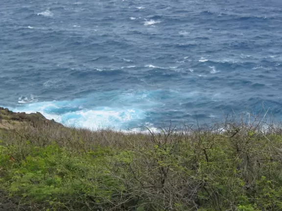 The choppy waters below sometimes have whales playing in them!