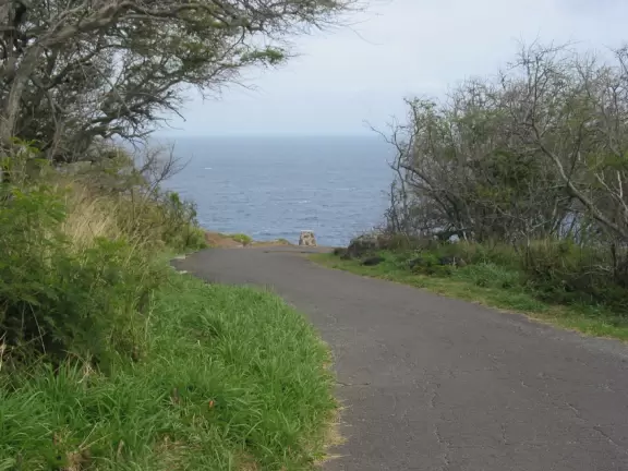 The wide, stroller-friendly path.
