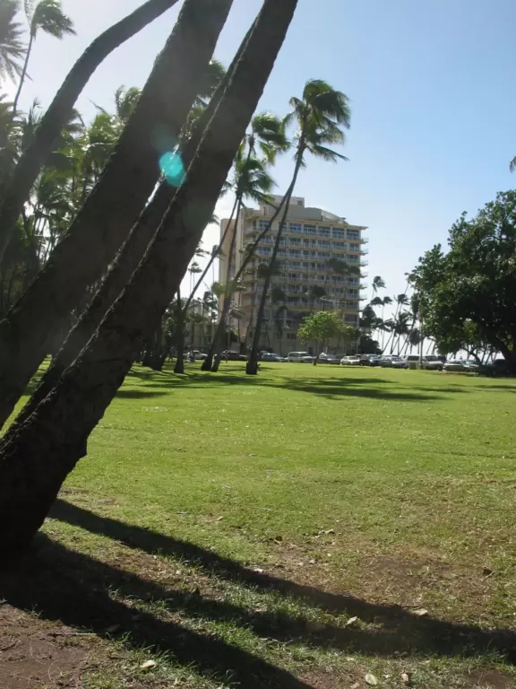 The huge lawn and zillions of coconut trees next to Hau Tree Beach.