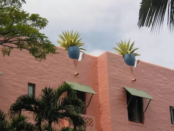 The purple pots on the rooftop.