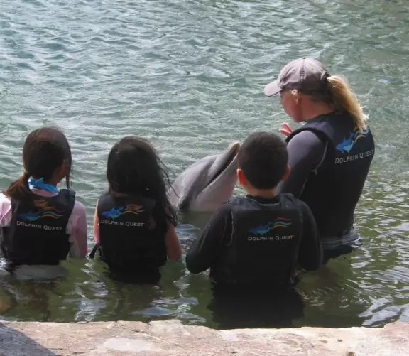 Kids in a special program with the dolphins.