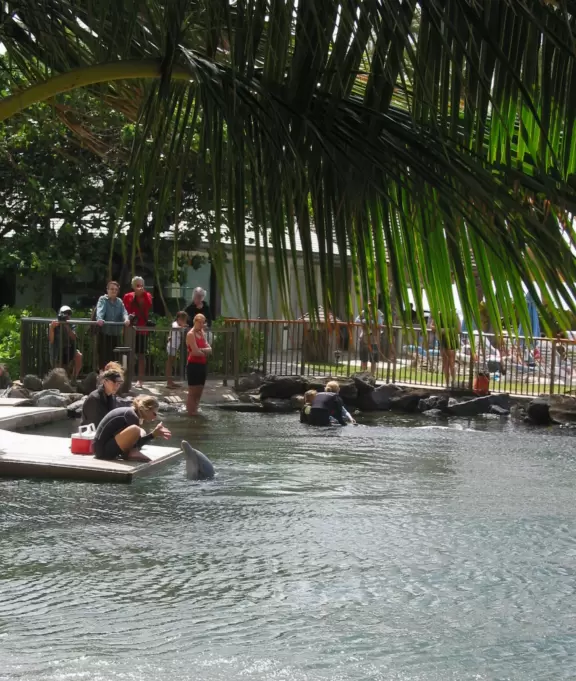 The peaceful lagoon with dolphins is idyllic, though windy.
