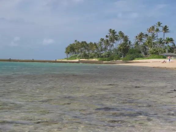 Looking west toward the Kahala mansions, from Waialae Beach Park.