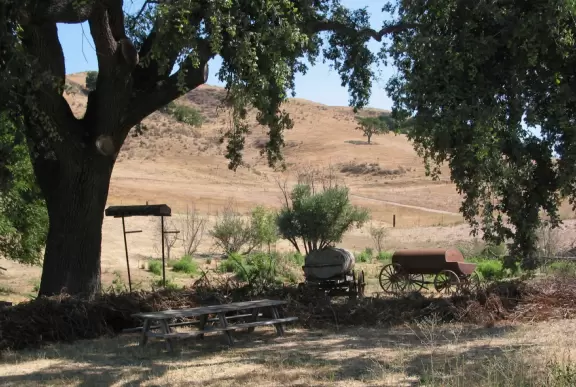 A bucolic scene...