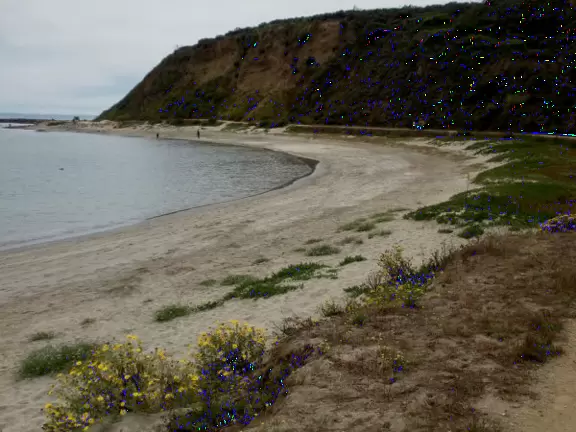 The headland at Mavericks, summertime. 