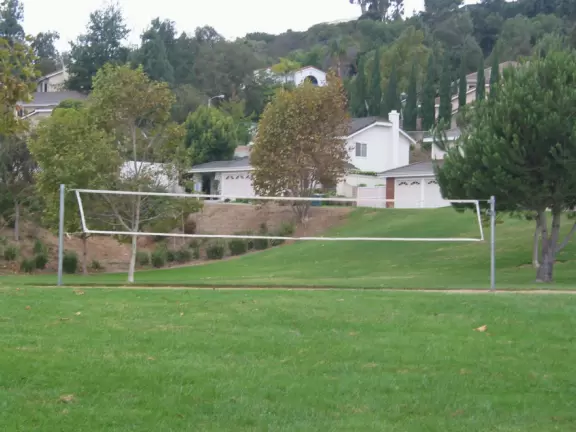 The volleyball net.
