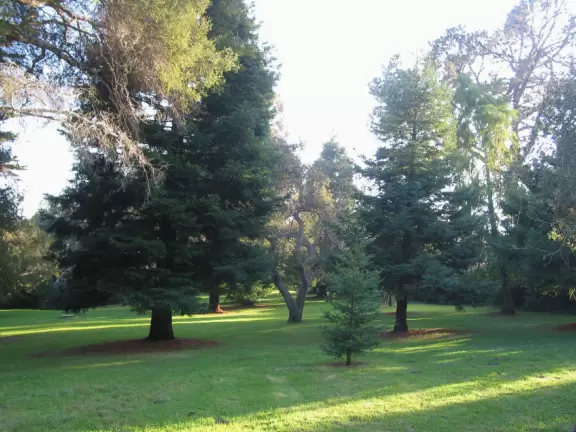 The beautiful lawn as the sun goes down on a Fall day. It's amazing how good you feel when you're here!
