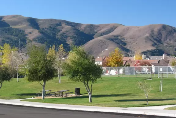The cute hills.