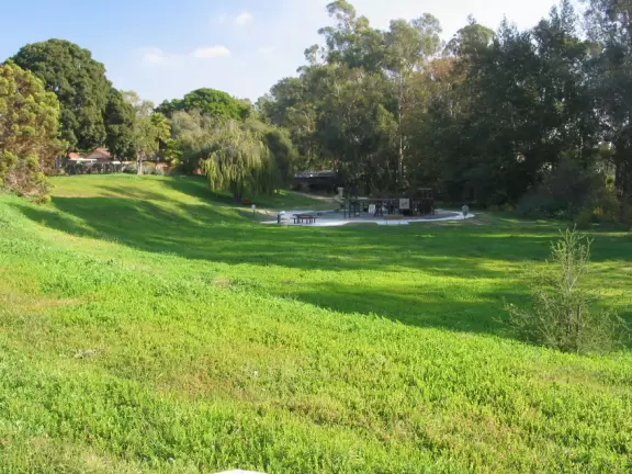 Wow! It's green after a slight rain!