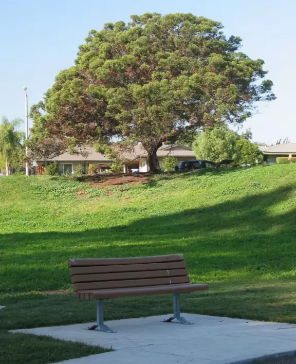 Bench at the park and neighborhood behind. 