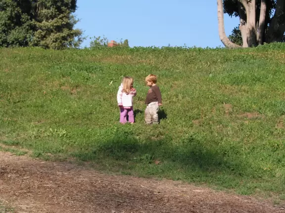 Wandering the hillside.