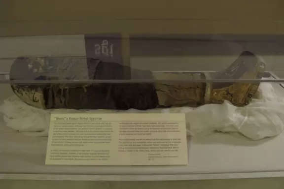 A real mummy of an upper-class Egyptian man.
