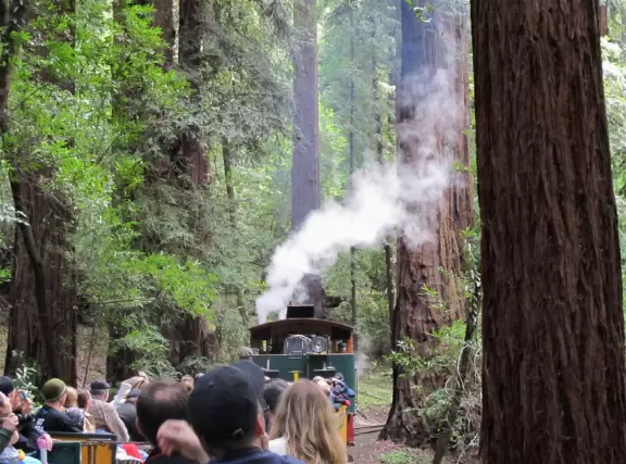 Passing the first redwoods...