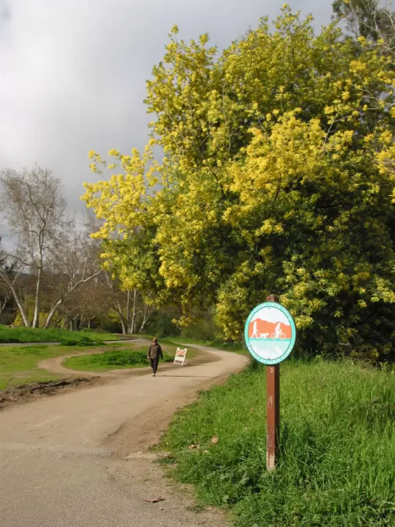 The Los Gatos Creek Trail, which connects Vasona Lake Park with Oak Meadow Park.