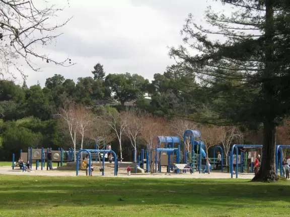 The playground and geese at Vasona Lake Park.