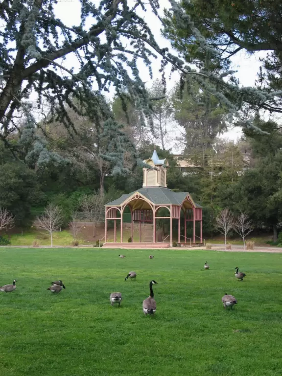 Pavilion and huge lawn with geese at Oak Meadow Park.