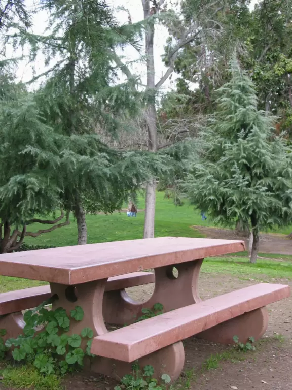 Picnic table on a hill amongst trees at Oak Meadow Park.