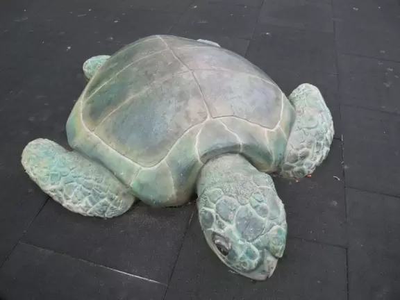 Wonderful sea turtle at the playground.