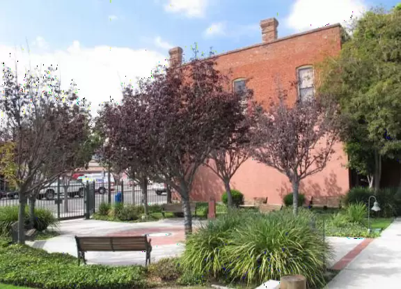 The garden beside the Rig Building is pretty.