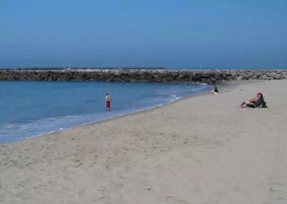 A brave soul tries out a swim.