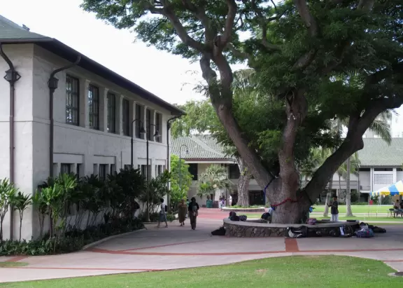 Bench around a tall tree.
