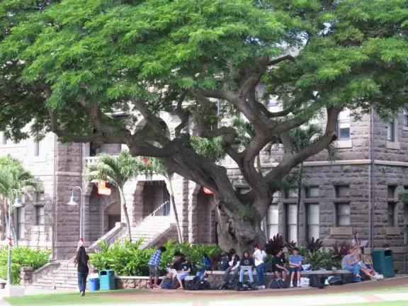 Students gather in between classes.