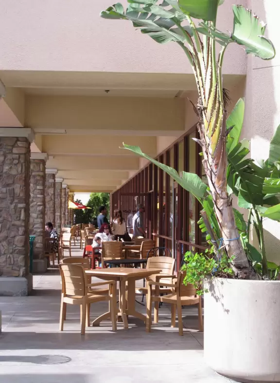 Outdoor seating and banana tree in a pot.