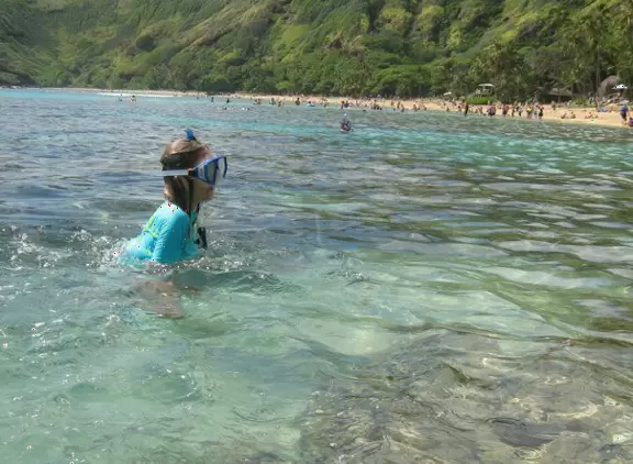 Clear water for some great snorkeling!