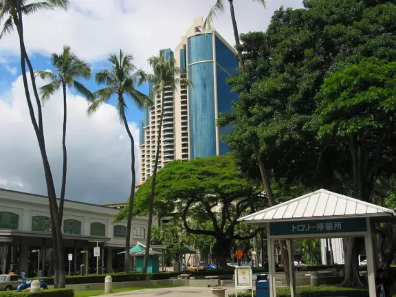 There's pretty greenery in the area around Aloha Tower.