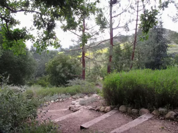 Uphill path at the botanical garden.
