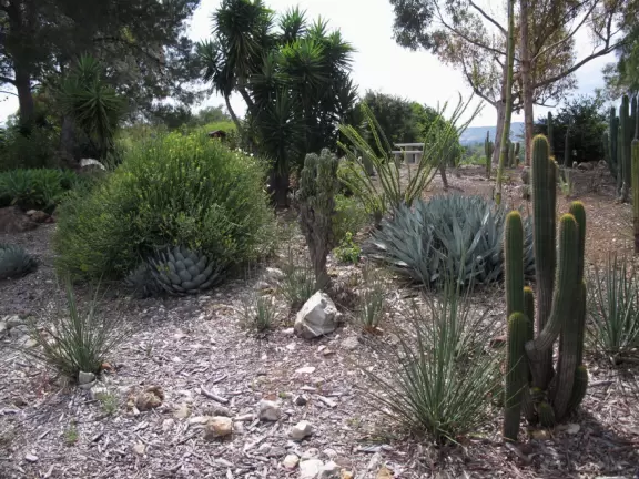 I loved the cactus garden!
