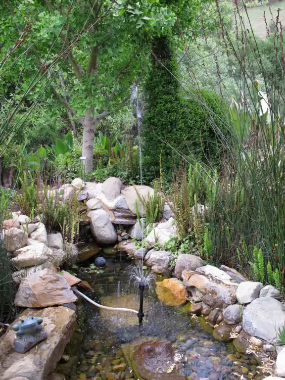 The fountain with frog and alligator lurking...