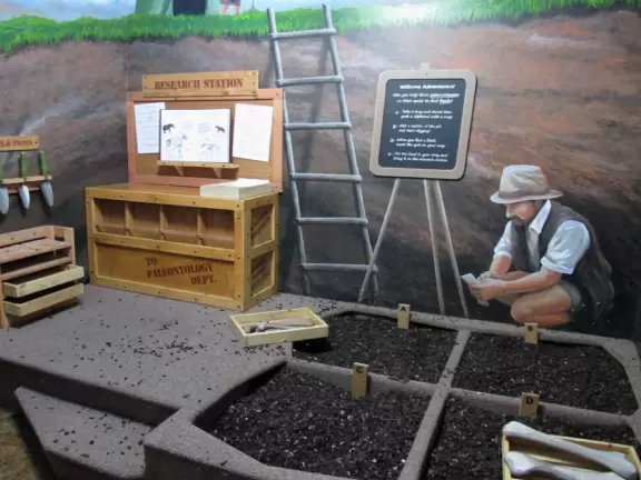 Pretend to be a paleontologist.