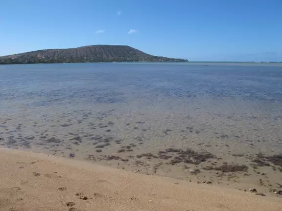 Koko Head and clear water.