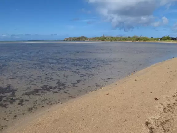 You can see the sealife under the water.