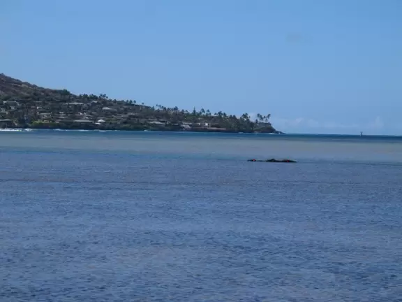 Portlock Point can be seen from the park.