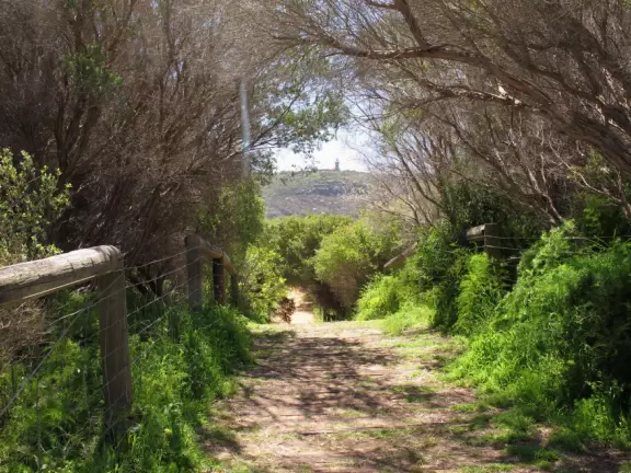 Hiking trail with Barrenjoey Lighthouse in the distance.