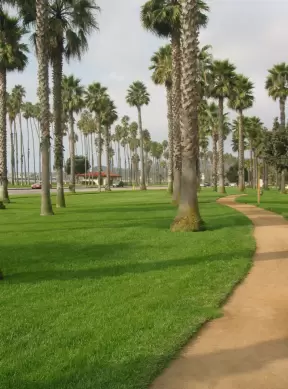 Doubletree Walk, Santa Barbara California