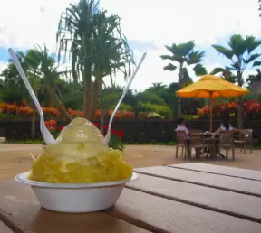 Dole Plantation, Oahu Hawaii